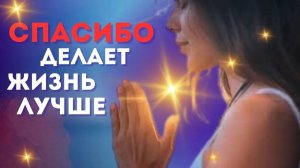 Как обычное спасибо делает жизнь лучше