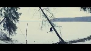 Omnimar - out of my life