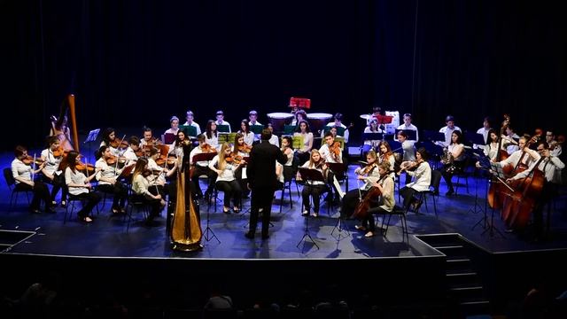 Filharmonija mladih "Borislav Pašćan" koncert Dom Sindikata смотреть онлайн