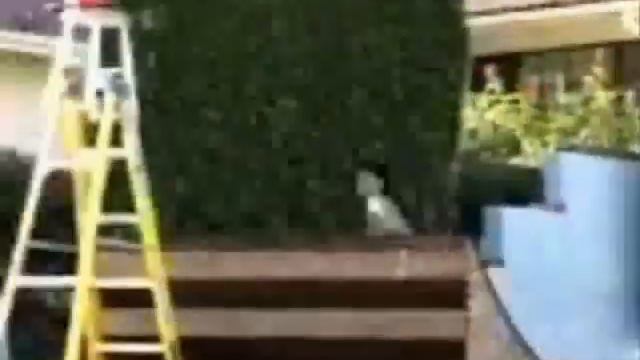 ryan sheckler at his best смотреть онлайн