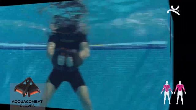 Отягощения для рук AQQUACOMBAT GLOVES смотреть онлайн
