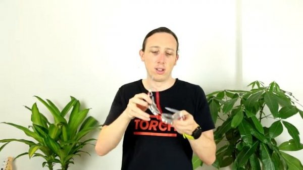 Zoggs Predator Flex review