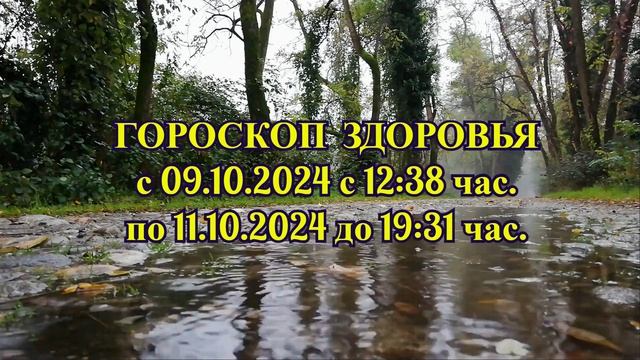 "ГОРОСКОП ЗДОРОВЬЯ с 9 по 11 ОКТЯБРЯ 2024 года!!!" смотреть онлайн