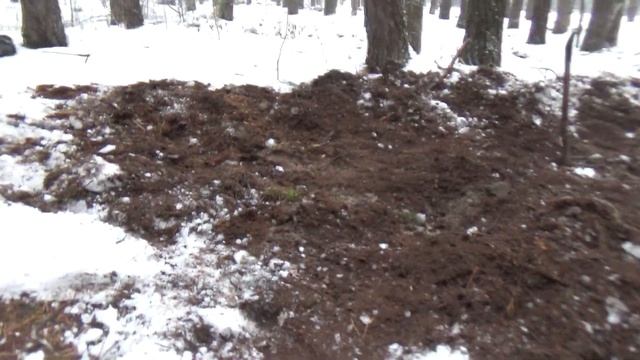 НАШЕЛ ДВА МЕШКА МЕДИ!!!БАТЯ В ШОКЕ! смотреть онлайн