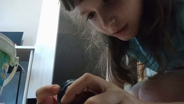 приключения лол 2 часть название феи в школе лол смотреть онлайн