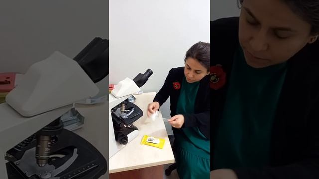 Demodeks Nasıl Bakılır