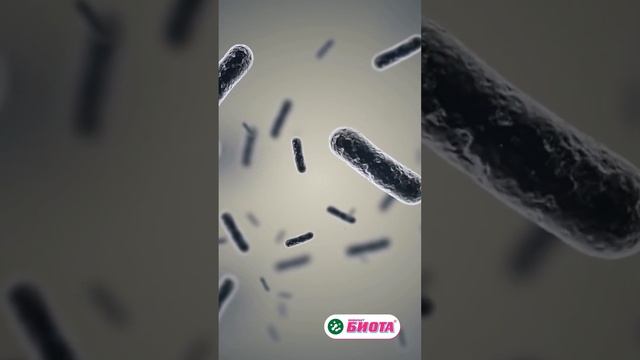 Какие полезные вещества есть в Бифилакте «Биота» кроме самих бифидо и лактобактерий_