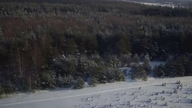 DJI MAVIC PRO. КОСТРОМСКИЕ ЛЕСА С ВЫСОТЫ. смотреть онлайн