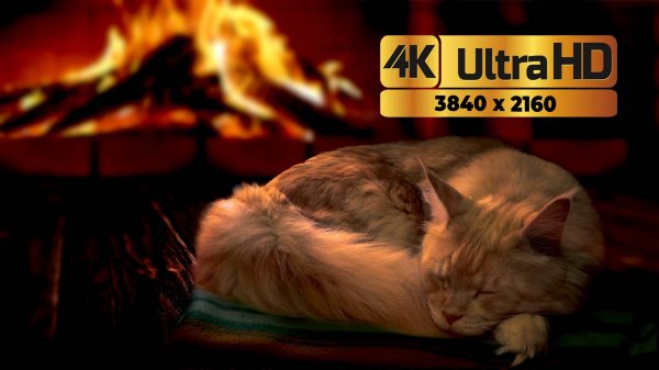 Горящий камин и мурлыканье кота 4К UHD. ЗАСТАВКА ДЛЯ ТВ. (3820х2160). Для релакса и сна.