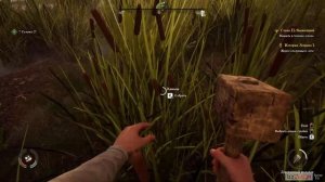 Medieval Dynasty. Часть шестая. Первый дом. Как его строить и зачем он нужен.