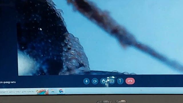 Колония Venator умирает за клещей смотреть онлайн