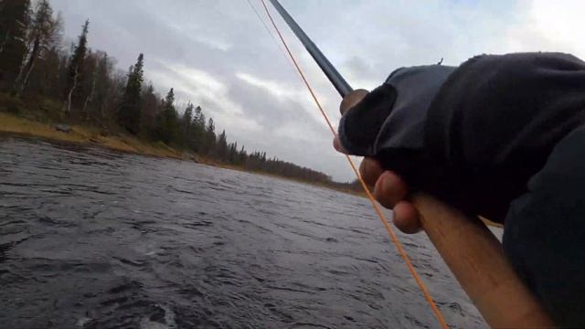 Итоги второго дня на Кольском!   #нахлыст #рыбалка #flyfishing #кольскийполуостров