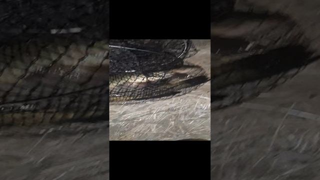 на почтовом