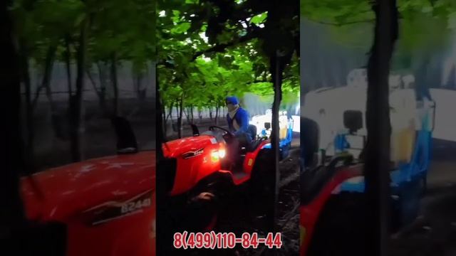 Мини-трактор Kubota B2441 в садах и питомниках. смотреть онлайн