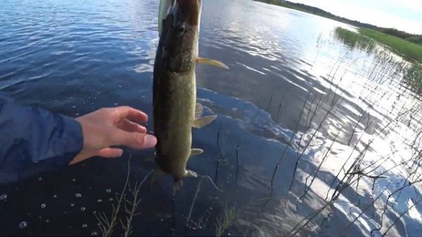 Обзор воблера Kosadaka Intra XS 125F