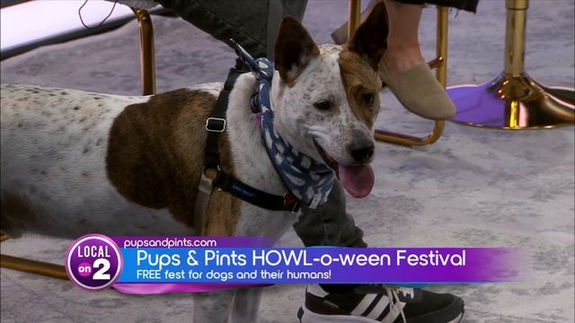 A tail-wagging good time is happening at ONEC1TY this weekend! смотреть онлайн