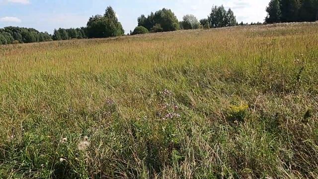 #МЕТАЛЛОКОП#КОП2021#КОПМЕТАЛЛА