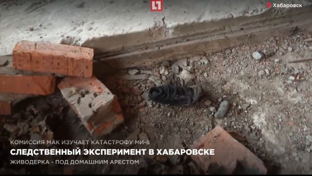 Живодерки из Хабаровска (репортаж Life.ru) 23.10.16 смотреть онлайн