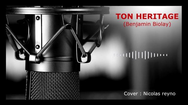 Nicolas Reyno - Ton héritage (Benjamin Biolay) смотреть онлайн