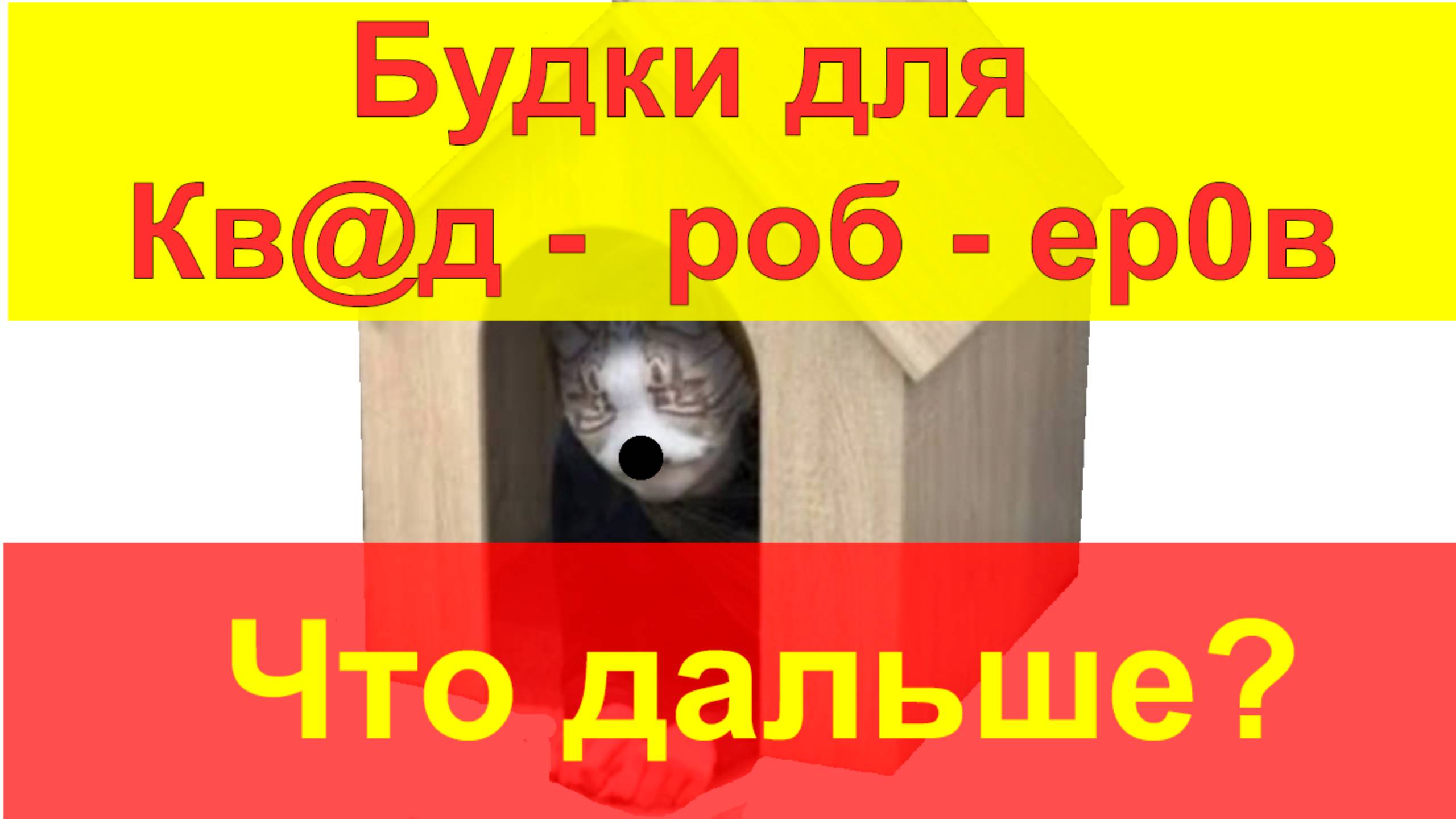 Будки для Кв@д -  роб - ер0в              Что дальше?