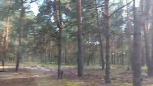 В лес Успокоиться Но не получается , Реву весь день , ОПЯТЬ Он Заболел