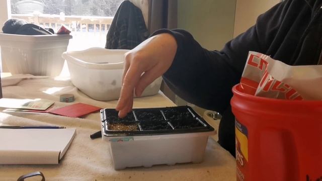 Zone5 Seed Sowing Has Begun смотреть онлайн