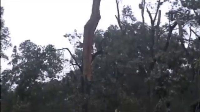 Hurricane Gustav Baton Rouge La. смотреть онлайн
