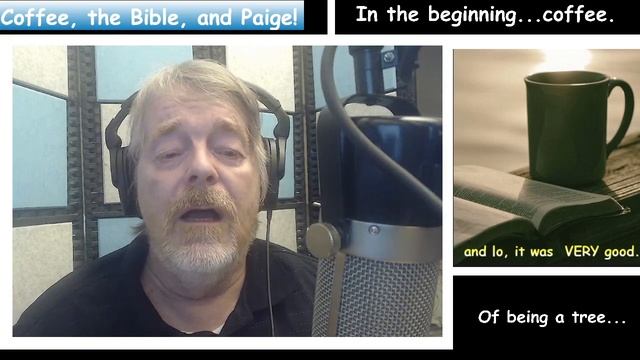 Episode 66 Of being a tree смотреть онлайн