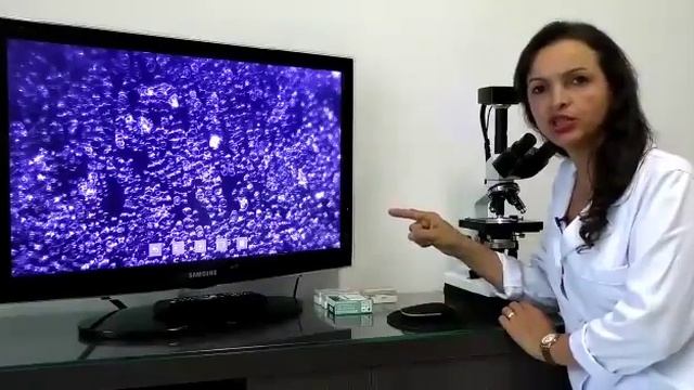 Microscopia antes e após o BEMER смотреть онлайн