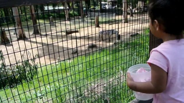 WENT TO THE ZOO / EASTER & APRIL FOOLS SUNDAY !! смотреть онлайн