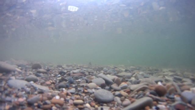 Sony Action Cam HDR AS20 под водой смотреть онлайн