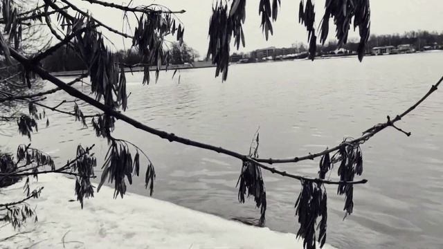 VID 20240324 Калигула (Роберт Лоуэлл)...Павел Васильев Лахтинский смотреть онлайн