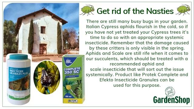 Winter Gardening смотреть онлайн