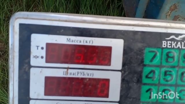 Металлокоп 2022. Ну, здесь я скажу Вам цветняк прёт! смотреть онлайн