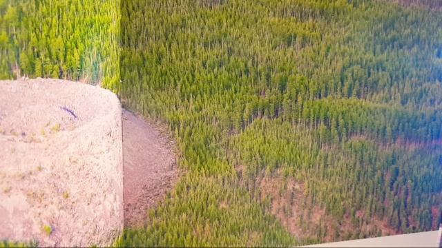 14 мая 2020/Советы Ангелов/Лена Воронова смотреть онлайн