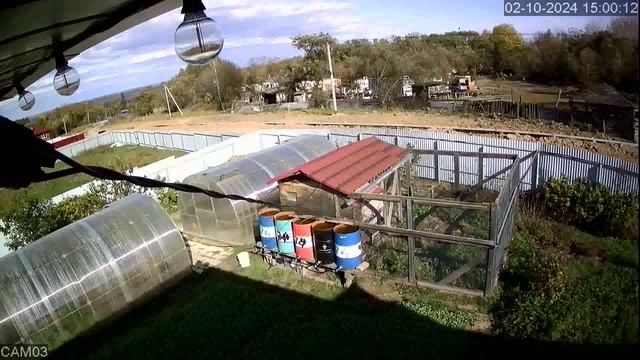 20241002_1 смотреть онлайн