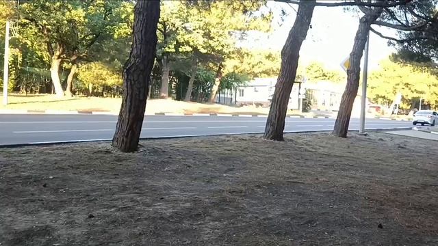 Прогулка в Геленджике по Геленджикскому проспекту  ASMR #walkingtour