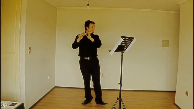 Portillo Festival, Cristofer Flández - Flauta Traversa смотреть онлайн