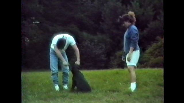 Brink Pre-Fight Entertainment смотреть онлайн