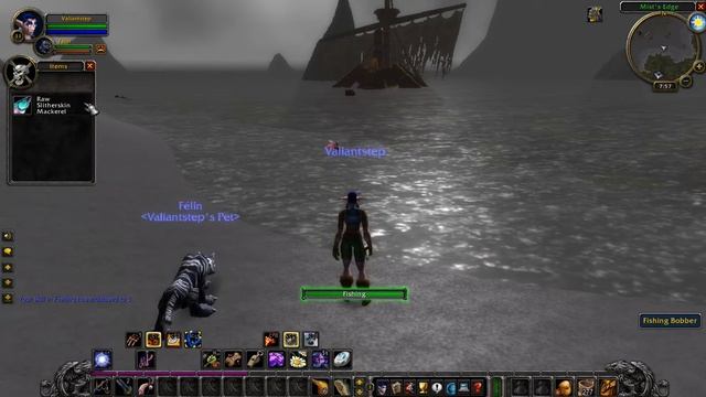 Classic Wow (wowclassic Warcraft How To Feed Pet Félin Nightelf Step20)