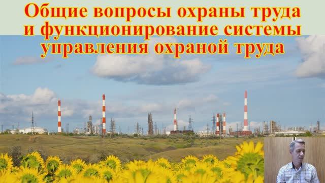 1.Основы ОТ Стратегия безопасности и охраны труда. Видео 1 смотреть онлайн