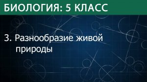 Биология 5 класс: Разнообразие живой природы