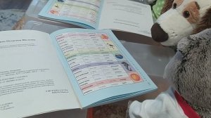 школа басиков