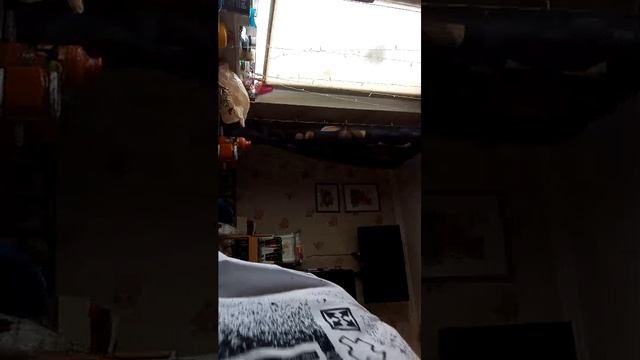 тренировка