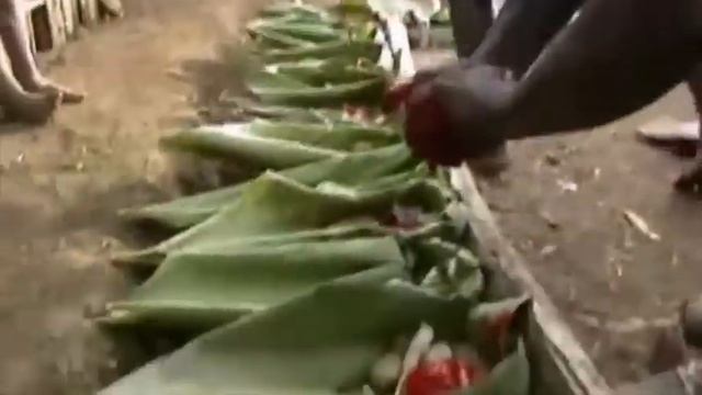 6 - Intro to Papua New Guinea смотреть онлайн