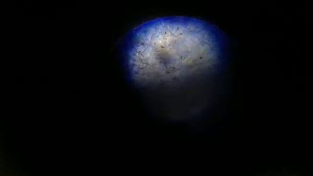 Modified Microscope!! смотреть онлайн