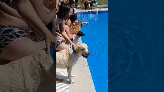 piscina municipal san martin de la vega sep 2017 смотреть онлайн