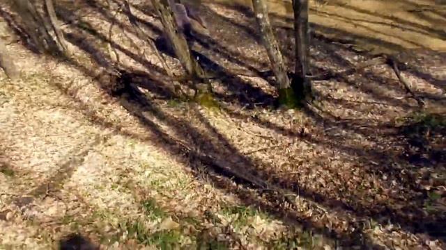 Green Hell смотреть онлайн