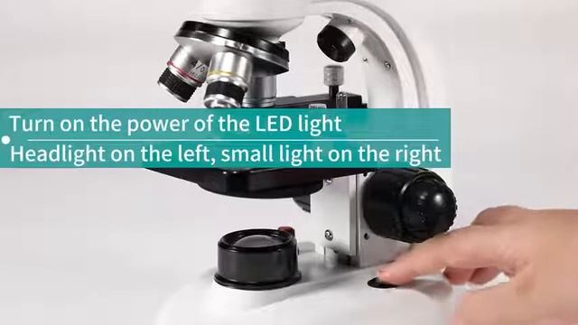 Compound Binocular Microscope.