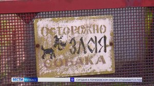 Объясняем.рф: каких собак нельзя выгуливать без намордника